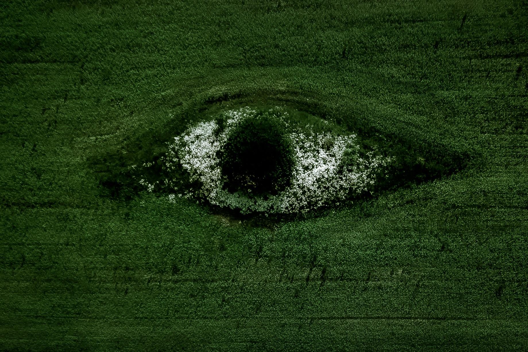 聚苯乙烯廢棄物回收：從污染到循環解決方案，EPS壓實機